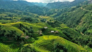 From Hanoi: Trek and Stay: 3-Day Sapa Highlands Adventure - Day 1: Hanoi to Sapa, then Cat Cat and Sin Chai