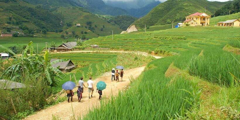 From Hanoi: Trek and Stay: 3-Day Sapa Highlands Adventure - Price and value: what $98 really covers (and what can change)