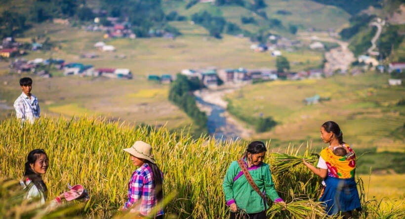 From Hanoi: Trek and Stay: 3-Day Sapa Highlands Adventure - Guides make the trip: English, local insight, and real personality