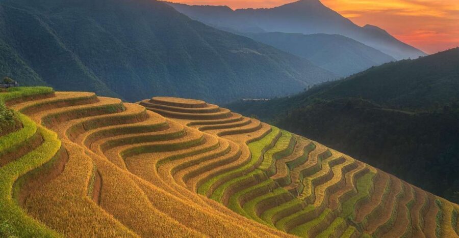 From Sapa: 1-Day Guided Trek to Lao Chai & Ta Van with Lunch - Key Things That Make This Trek Worth Your Time