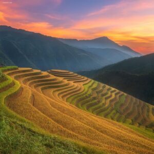 From Sapa: 1-Day Guided Trek to Lao Chai & Ta Van with Lunch - The Hike Route: Muong Hoa–Y Linh Ho and the Hoang Lien Son Views