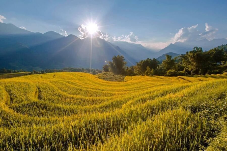 From Sapa: 1-Day Guided Trek to Lao Chai & Ta Van with Lunch - Price and Value: Is $34 a Good Deal for This Day?