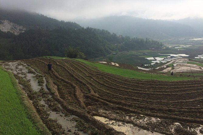 From Sapa: 2-Day Trek Through Authentic Villages in North - Sapa - Day 2: Trung Chai panoramas, picnic lunch, and more time on village paths