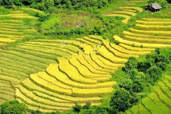 From Sapa: 2 Days 1 Night Trek Over Night At Homestay - Who this Sapa trek suits best