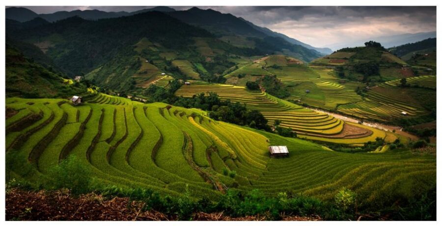 From Sapa: Terrace Fields and Local Villages Trek with Lunch - Key Highlights You’ll Actually Feel