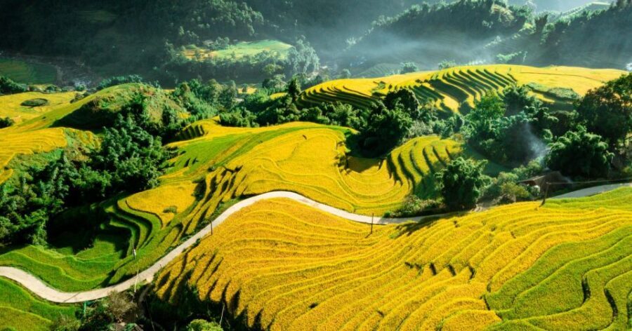 From Sapa: Terrace Fields and Local Villages Trek with Lunch - Lai Chai and Ethnic Minority Culture With a Local Guide