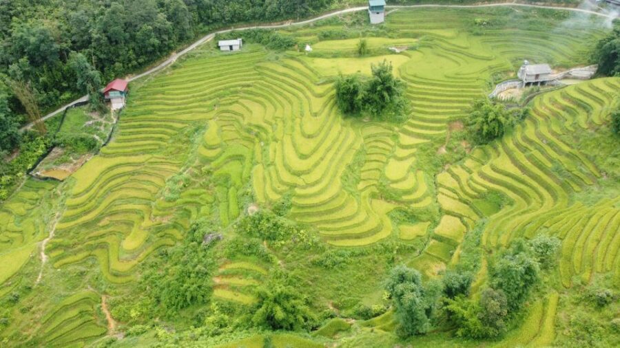 From Sapa: Terrace Fields and Local Villages Trek with Lunch - Waterfall Stop: A Break Built Into the Route