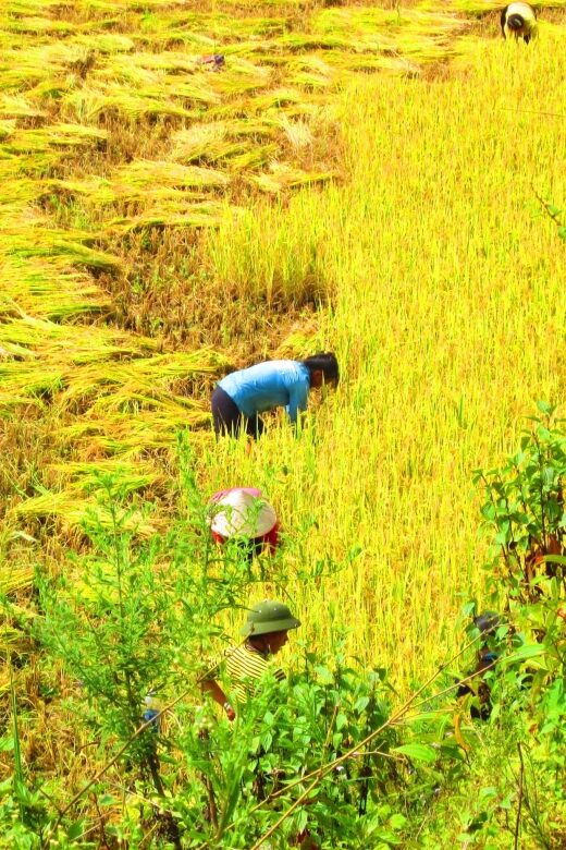 From Sapa: Waterfalls, Trekking and Tribal Villages Tour - Silver and Love Waterfalls plus Tram Ton Pass: the best setup for your day