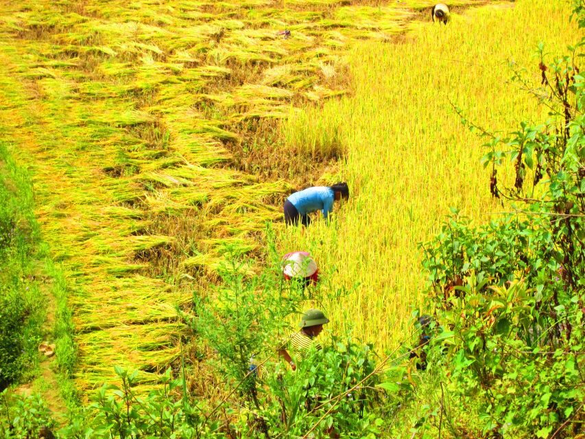 From Sapa: Waterfalls, Trekking and Tribal Villages Tour - Picnic lunch with locals: where the day turns from scenery into stories