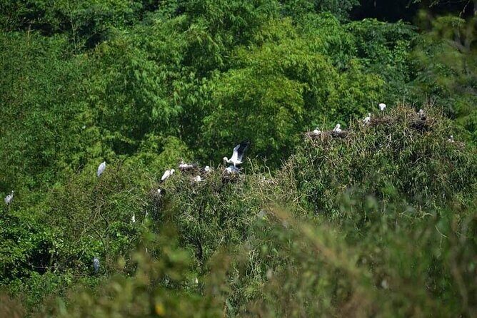 Full-Day Cuc Phuong National Park Hiking Tour - Cuc Phuong Conservation Focus: Delacour langurs and the rescue centre