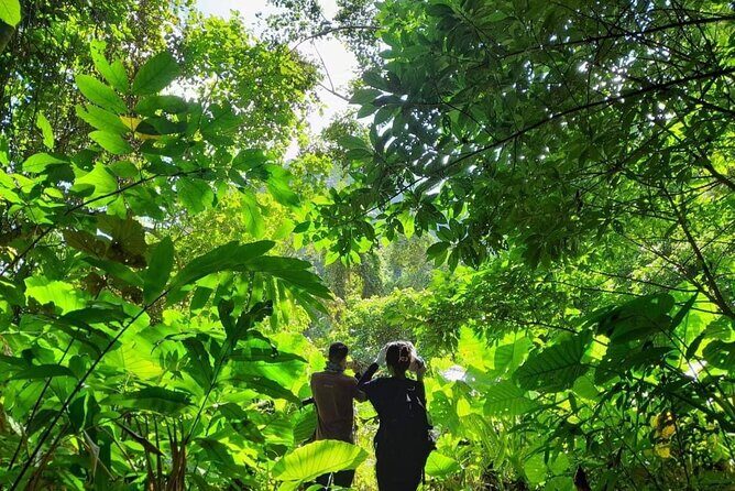 Full-Day Cuc Phuong National Park Hiking Tour - Price and value: $24, plus the fees you should expect