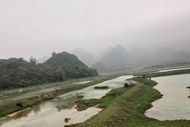 Full-Day Cuc Phuong National Park Hiking Tour - Who should book this Cuc Phuong hiking tour