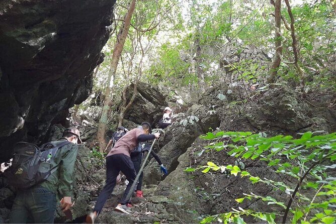 Full-Day Cuc Phuong National Park Hiking Tour - Should you book Cuc Phuong for a hiking day?