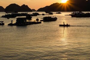 Full day hikes, Cycles, Kayaks & swims in Cat Ba National park - The jungle trek through Cat Ba National Park (and why it’s worth it)