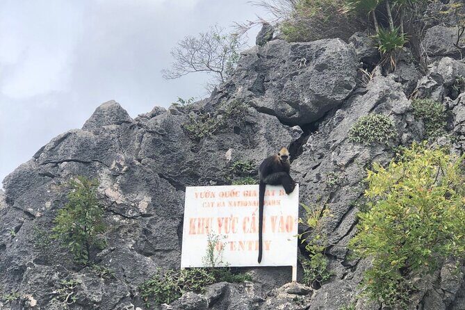 Full day trip to Lan Ha-Ha Long Bay from Cat Ba, avoid the crowds - Why Lan Ha and Ha Long feels easier from Cat Ba