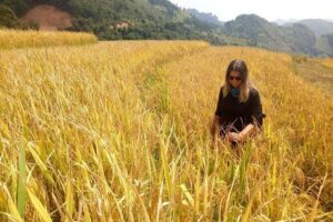 Ha Giang loop 3 or 4 Days, Small Group Tour (within easy riders) - The group size: why max 10 changes your whole day