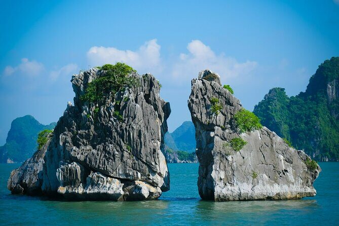 Ha Long Bay Cruise Day Tour-Cave, Kayaking,Ti top island & Lunch - Seafood Lunch Onboard: Included, but Don’t Expect Fine Dining