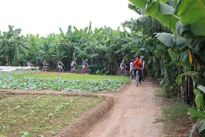 Half-Day Bicycle Tour Combine City & Countryside + Train Street - Why this half-day Hanoi bike tour feels like a shortcut