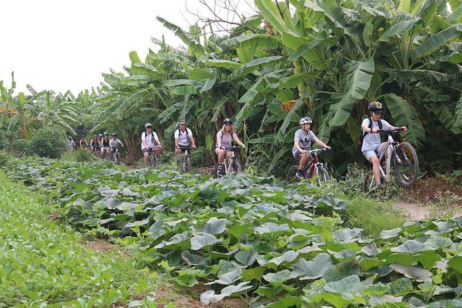 Half-Day Bicycle Tour Combine City & Countryside + Train Street - The tour’s value at $49: what you’re really paying for