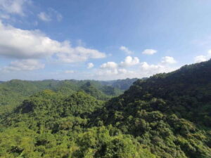 Half Day Hiking to Cat Ba National Park with a Guide - The 4-hour plan: pickup, Cat Ba National Park, and the Ngu Lam climb