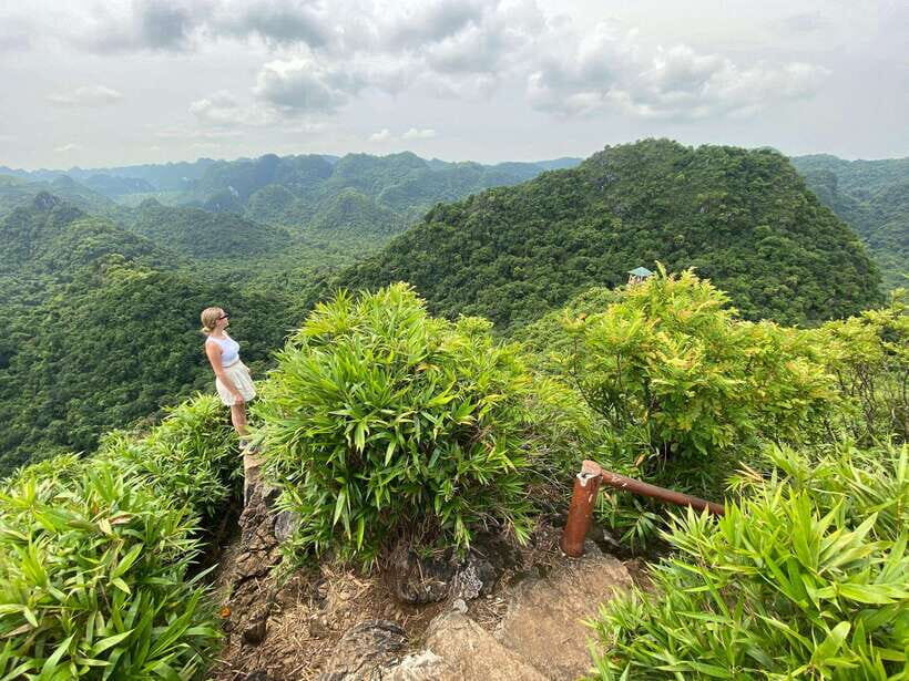 Half Day Hiking to Cat Ba National Park with a Guide - Quan Y Cave (Hospital cave): the optional ticket and the Vietnam War story