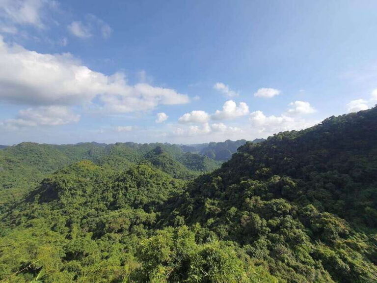 Half Day Hiking to Cat Ba National Park with a Guide - The 4-hour plan: pickup, Cat Ba National Park, and the Ngu Lam climb