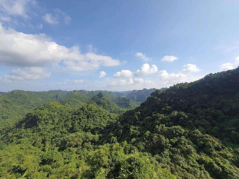 Half Day Hiking to Cat Ba National Park with a Guide - The 4-hour plan: pickup, Cat Ba National Park, and the Ngu Lam climb