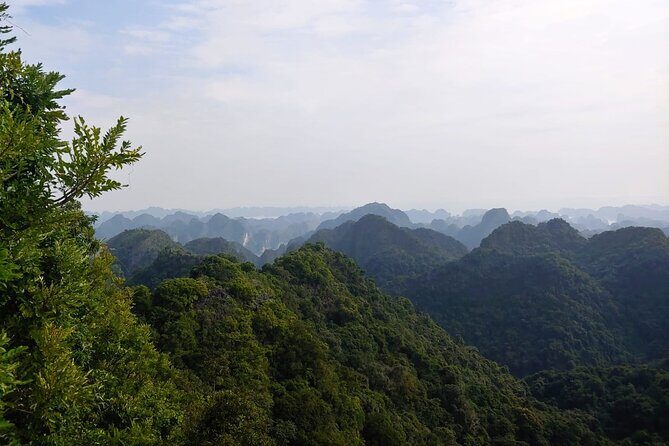 Half Day Hiking to Discover Cat Ba National Park with a Guide - Key highlights you’ll feel on the trail