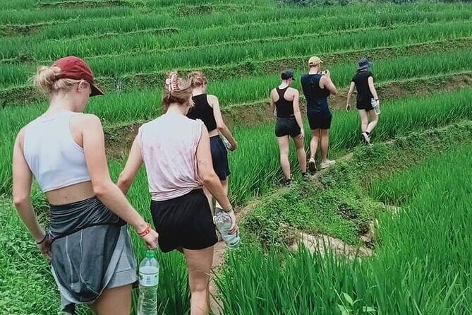 Half-Day Hometrek from Sapa with Hmong Sister House - A half-day trek with an authentic Hmong focus