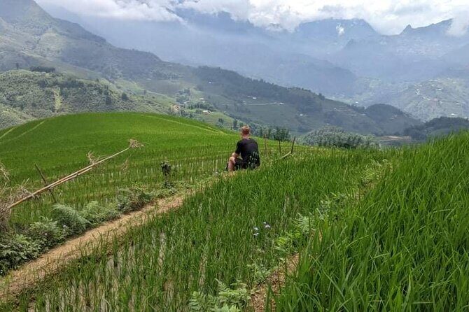 Half-Day Hometrek from Sapa with Hmong Sister House - Ta Van Village: stories, culture, and an English-speaking guide at your side