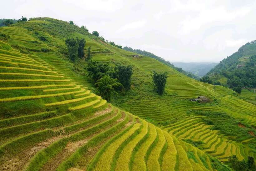 Half Day Sapa Trekking to Visit Lao Chai - Ta Van - Key things to know before you go