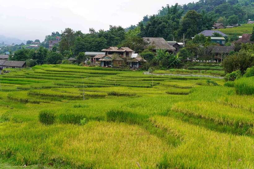 Half Day Sapa Trekking to Visit Lao Chai - Ta Van - The bus ride: comfort that matters on a short timetable