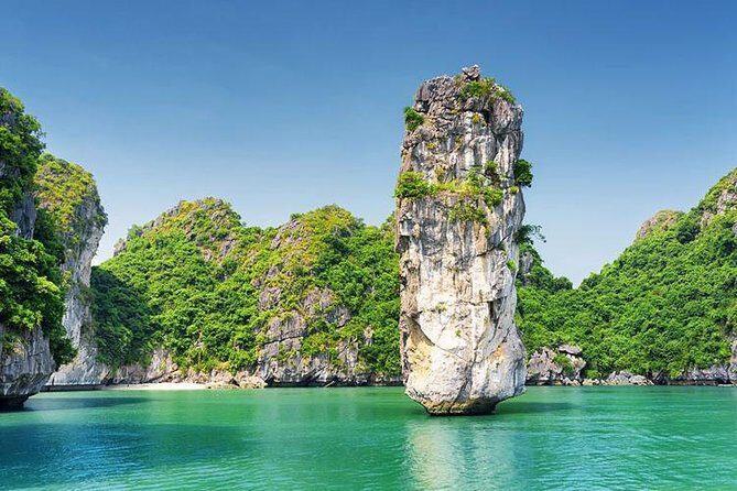 Halong Luxury Cruise Full Day Tour from Hanoi: All Inclusive - Seafood buffet lunch and the sunset tea break that actually breaks the day