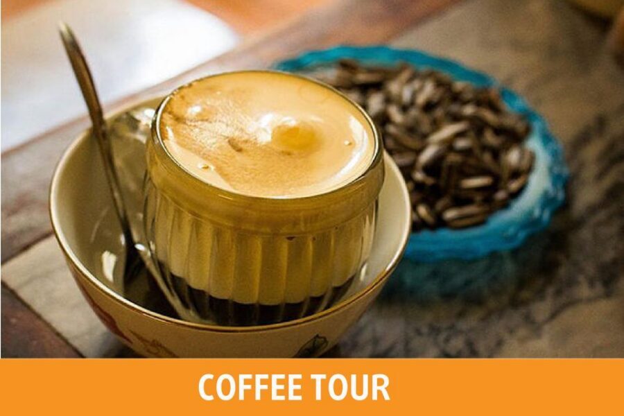Hanoi: 7 Tastings Street Food Tour with Train Street - Who This Tour Fits Best (and Who Might Want Another Plan)