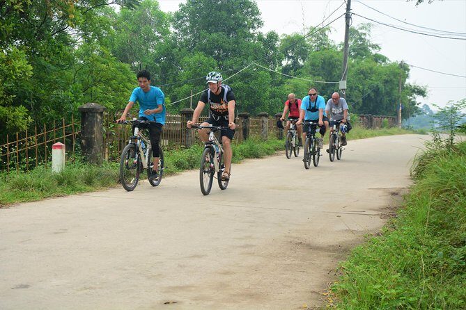 Hanoi Bicycle Tours: Half Day Bicycle Tours Hanoi Countryside - Lại Đà: bonsai families and village life beyond the main roads