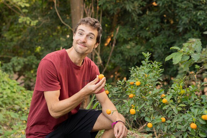 Hanoi Cooking Class in a Haven of Tranquility - Thom culinary - Thơm Culinary: calm gardens, real Vietnamese plant power