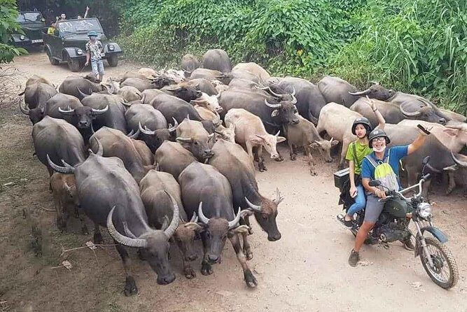 Hanoi Countryside Motorbike Tour: Red River Culture & Daily Life - Key highlights to look for
