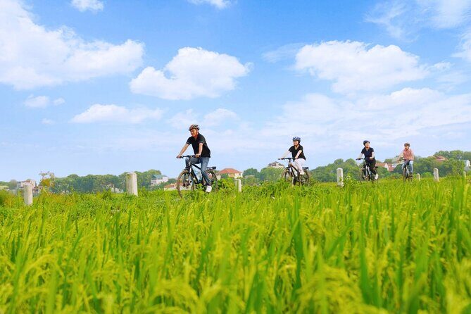 Hanoi Full Day A Private Tour With Mix of History and Activities - Ho Chi Minh Mausoleum and the Garden Walk: What You Can Expect