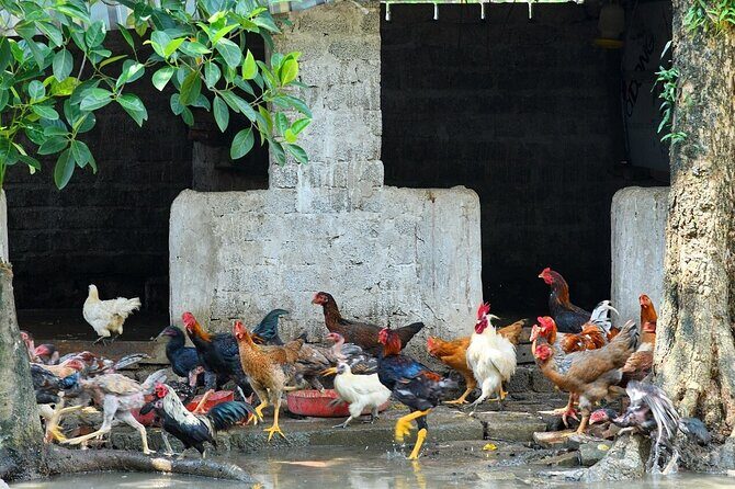 Hanoi Full Day A Private Tour With Mix of History and Activities - Who This Tour Fits Best (and Who Should Reconsider)