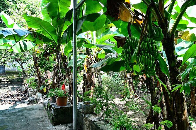 Hanoi Full Day A Private Tour With Mix of History and Activities - Should You Book This Hanoi Private Full-Day Tour?