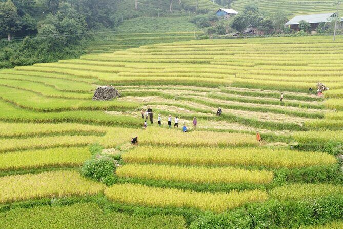 Hanoi - Sapa 2 Days 1 Night Overnight At Local Homestay - Overnight in Ta Van: sunset views, dinner with hosts, and cooking class