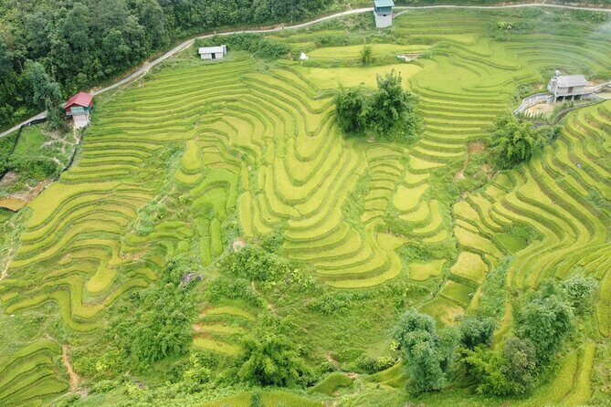 Hanoi - Sapa 3 Days - 2 Nights Trekking with With the locals - Why This Sapa Trek Feels More Local Than Typical Tours