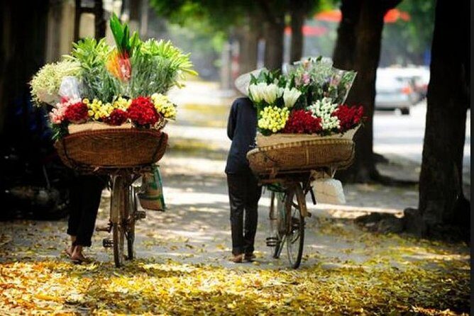 Hanoi street food tour (small group) - Stop-by-stop route: nộm bò khô, bún chả, nem rán