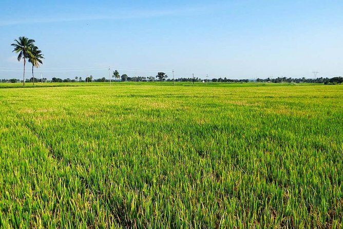 Hanoi Vespa Countryside Tour With Female Ao Dai Riders Half Day - Co Loa Citadel: the 3rd-century BC capital you can picture