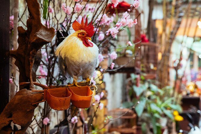 Highlights & Hidden Gems With Locals: Best of Hanoi Private Tour - Ta Hien Street, Hang Bac Temple, and the Small Places Most People Miss