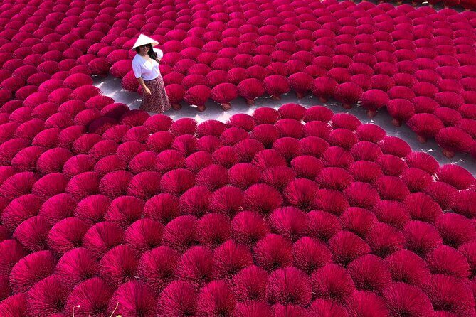 Incense Village Private Tour from Hanoi to Ninh Binh Old Capital - Key Highlights You’ll Want to Know First