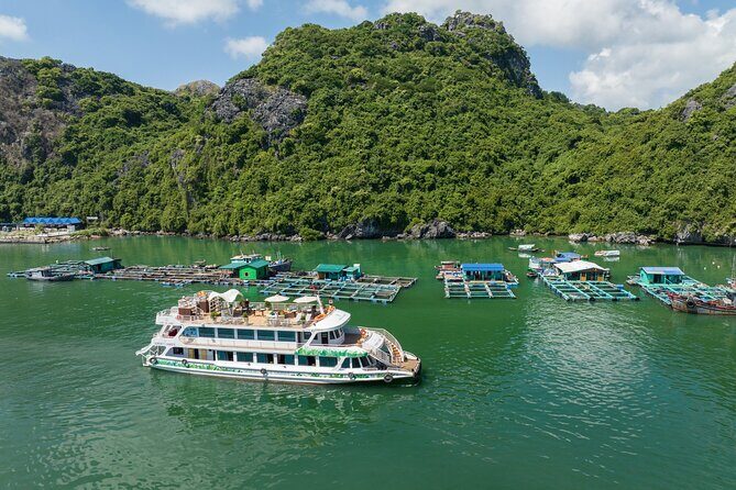 Lan Ha Bay full-day tour from Hanoi, Hai Phong - Serenity Cruises - Viet Hai Village: Electric Transport, Village Walks, and Fish-Foot Massage