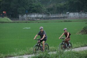Luxury Ninh Binh Full Day Tour From Hanoi (Trang An - Hoa Lu) - Lunch and Tea Break: Fuel That Helps You Enjoy the Afternoon