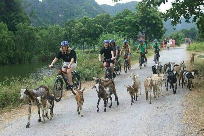Luxury small Group Hoa Lu - Tam Coc - Mua Cave Max 6 - 8 pax/tour - Tam Coc-Bich Dong lunch and the short reset before the boat