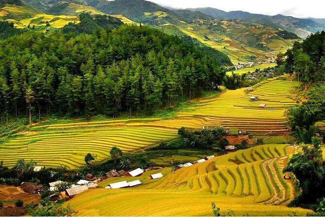 Mai Chau - Pu Luong - Ninh Binh | Optional Choices | 2, 3, 4 days - Kho Muong Village, stilt-house tea, and the Bat Cave option